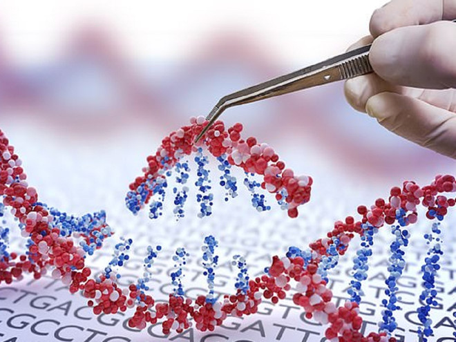Cơ thể ông Chris Long tồn tại song song 2 bộ ADN, một của mình và một của người hiến tủy ở Đức /// Ảnh minh họa: Shutterstock