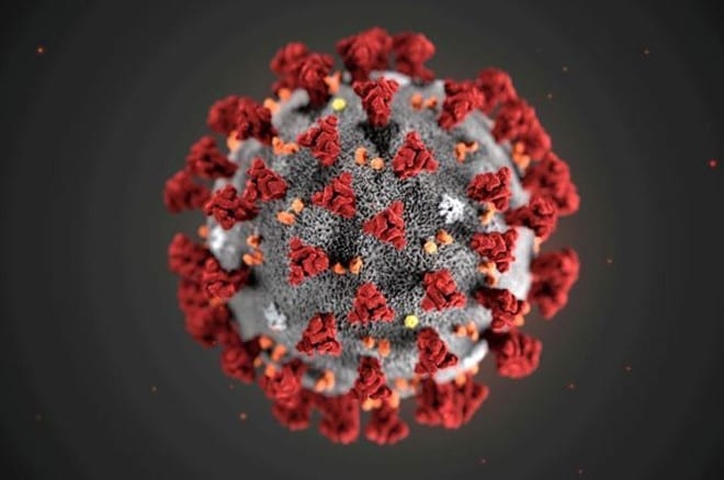 Ảnh minh họa virus Corona chủng mới của Trung tâm kiểm soát và phòng ngừa dịch bệnh (CDC) /// CDC