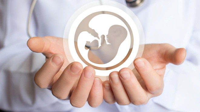 Hiện đã có bằng chứng rõ ràng cho thấy bộ não và hệ thần kinh của thai nhi đã phát triển đầy đủ dây thần kinh từ khi thai được 13 tuần tuổi, đủ để thai nhi biết đau /// Ảnh minh họa: Shutterstock