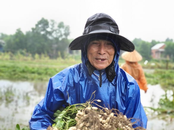 Nhiều nơi nắng hạn, Thừa Thiên Huế lại ngập vì mưa, vụ mùa bị đe dọa - Ảnh 1.