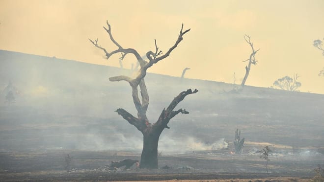 Cháy rừng ở Úc vào tháng 2 /// AFP