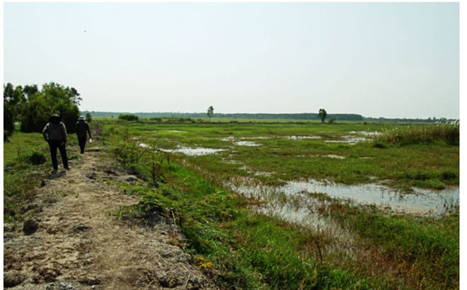Khu bảo tồn đất ngập nước Láng Sen /// Ảnh: chụp màn hình Gody.vn