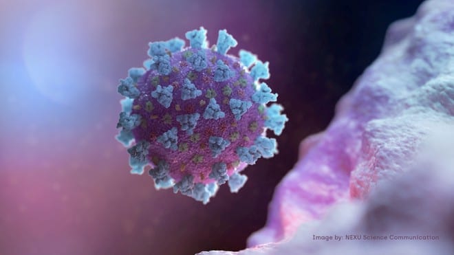 Hình ảnh virus Corona chủng mới (SARS-CoV-2) được mô phỏng trên máy vi tính /// Reuters