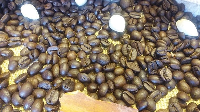 Chỉ cần 30% xuất khẩu cà phê thô chuyển sang hòa tan, giá trị thu về chênh lệch sẽ rất lớn /// Ảnh: Ng.Nga