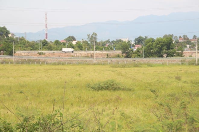 Diện tích đất không sản xuất được cạnh đường cao tốc Đà Nẵng - Quảng Ngãi (H.Hòa Vang) có địa hình bằng phẳng, phù hợp xây dựng vườn rau công nghệ cao /// Ảnh: Hoàng Sơn