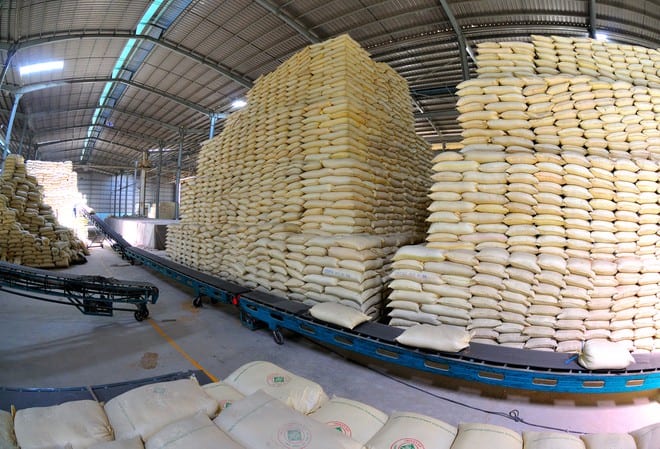 Trong tuần này, giá gạo Việt xuất khẩu tăng cao hơn giá gạo Thái cùng loại /// Ảnh: Huỳnh Thanh Phong