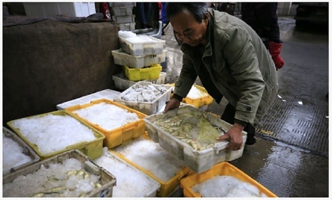 Một người đàn ông di chuyển hộp đựng hải sản tại một chợ ở Thượng Hải, Trung Quốc /// Chụp màn hình Hoàn Cầu thời báo