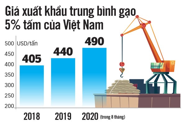 Gạo Việt đừng mải mê sản lượng - Ảnh 4.