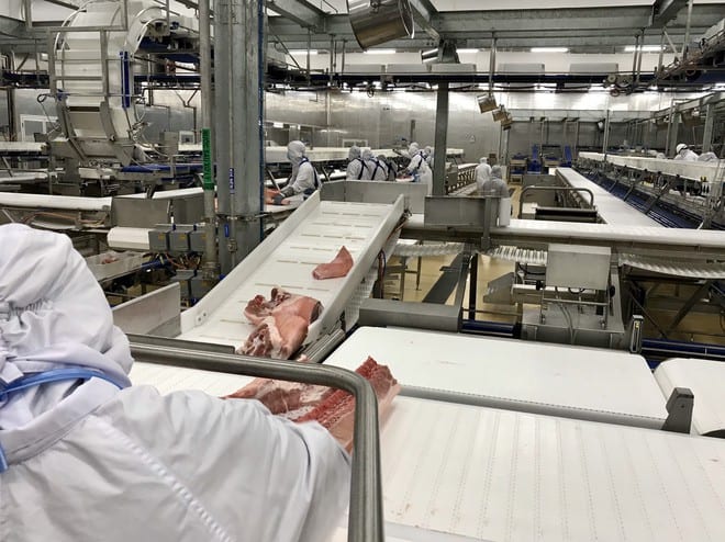 Tổ hợp chế biến thịt được đầu tư 1.800 tỉ đồng sắp khánh thành - ảnh 1