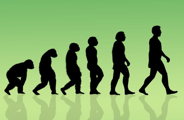 Phát hiện mới: Con người đang tiến hóa nhanh nhất 250 năm qua - Ảnh 3.