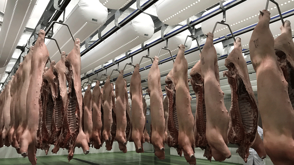 Nhà máy thịt mát MEATDeli Sài Gòn tại Long An với tham vọng cung ứng 155.000 tấn thịt mỗi năm ra thị trường /// NG.NGA