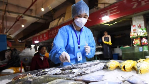 Trung Quốc nói virus corona trên bao bì thực phẩm đông lạnh có thể lây nhiễm - Ảnh 1.