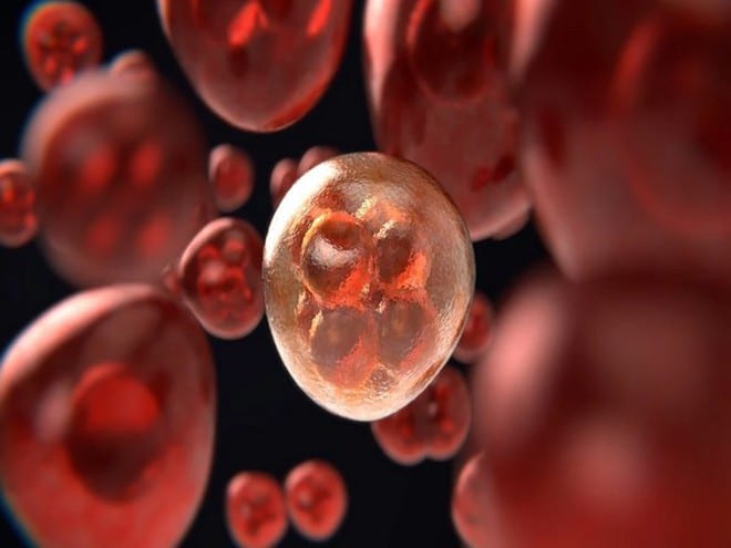 Sertraline ức chế sản xuất serine và glycine, từ đó làm giảm sự phát triển của tế bào ung thư /// Ảnh minh họa: Shutterstock