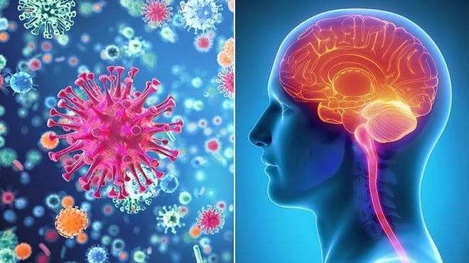 Viêm màng não nếu không điều trị kịp thời, có thể gây tử vong trong vài ngày /// Ảnh minh họa: Shutterstock