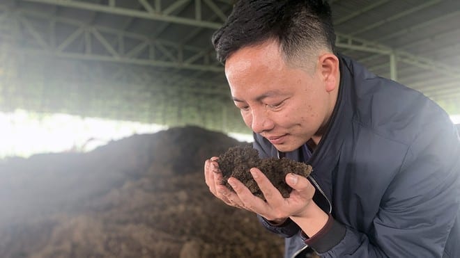 Anh Nguyễn Văn Thảo chứng minh phân hữu cơ 100% nguyên liệu từ phân bò đã được khử sạch mùi hôi /// Ảnh P.Hậu