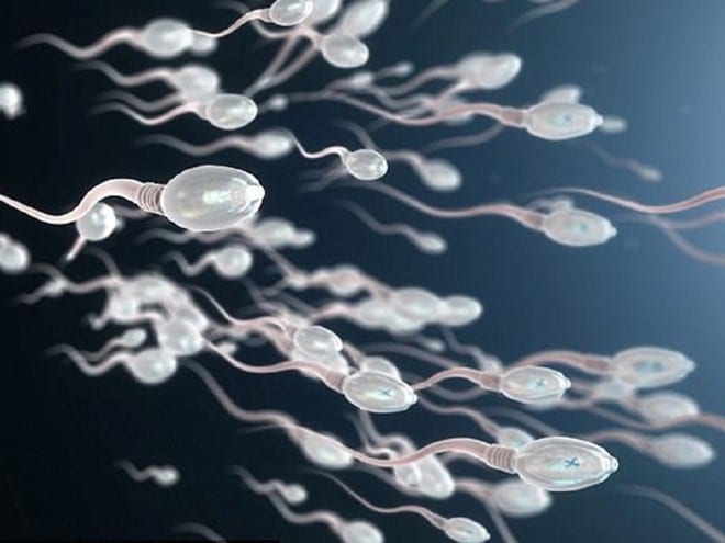 Các dấu ấn sinh học trong tinh trùng có thể giúp xác định những người đàn ông có nguy cơ sinh con mắc chứng tự kỷ /// Ảnh minh họa: Shutterstock