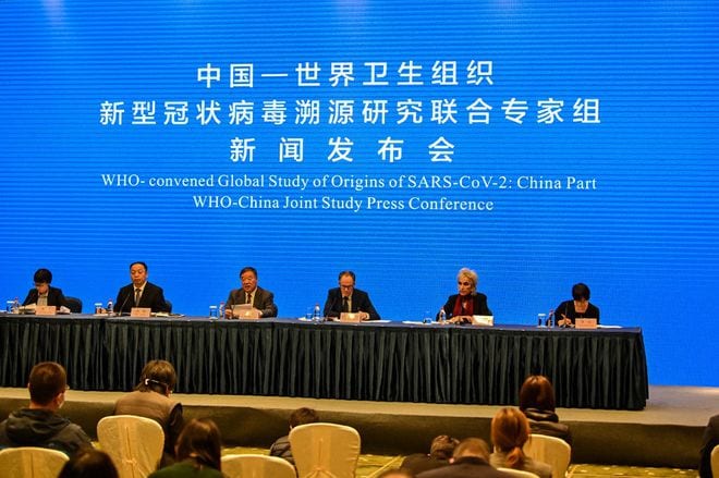 Các chuyên gia WHO và Trung Quốc tại buổi họp báo /// AFP