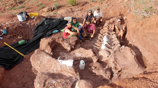 Các nhà cổ sinh vật học bên cạnh một bộ xương khủng long hóa thạch tại Neuquen, Argentina /// Reuters
