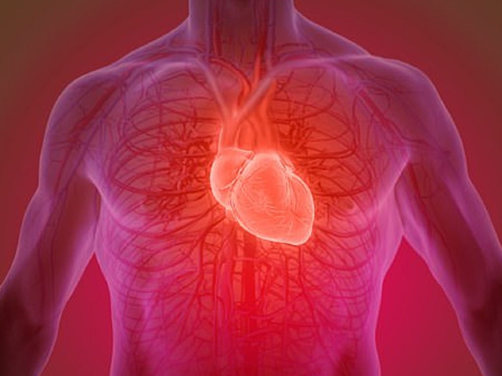 Tập HIIT khoảng 15 phút/ngày có thể giúp tăng cường hiệu quả sức khỏe tim mạch /// Ảnh: Shutterstock