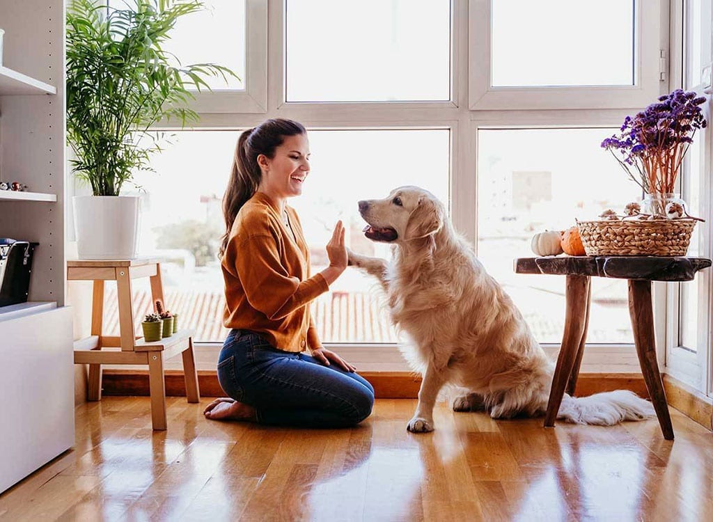 Bạn phải dành một khoảng thời gian nhất định cho thú cưng của mình để biến chúng trở thành một thành viên có giá trị, cư xử tốt và đáng yêu trong gia đình /// Ảnh minh họa: Shutterstock