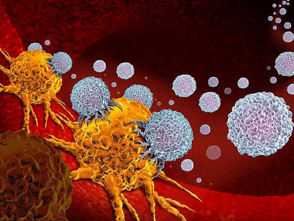 Liệu pháp miễn dịch giúp hệ miễn dịch có thể nhận diện và tiêu diệt tế bào ung thư /// Shutterstock