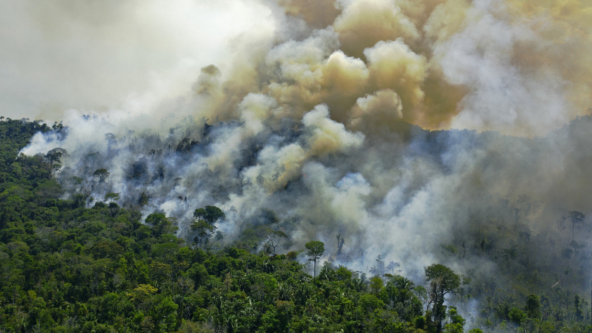 Đám cháy tại rừng Amazon /// AFP