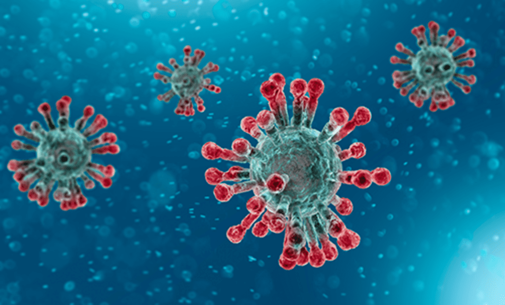 Masitinib là thuốc ức chế virus Corona phổ quát, chứng tỏ hiệu quả trong việc ngăn chặn virus SARS-CoV-2 sao chép /// ECDC