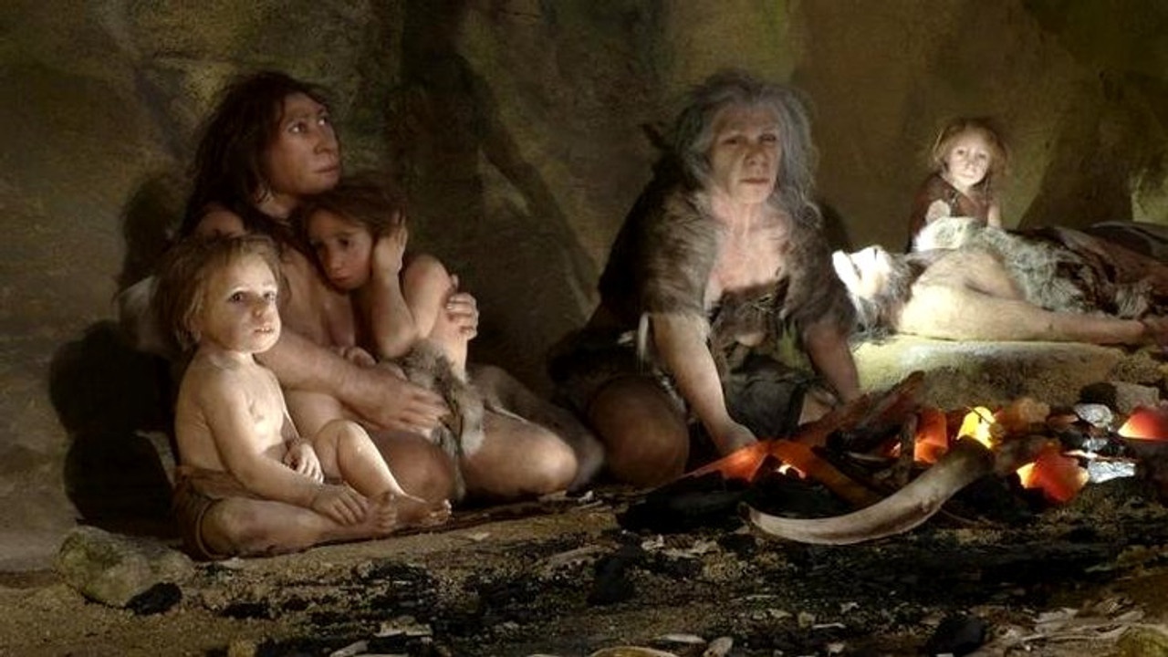 Người Neanderthal tuyệt chủng vì quan hệ tình dục với loài người? - ảnh 1