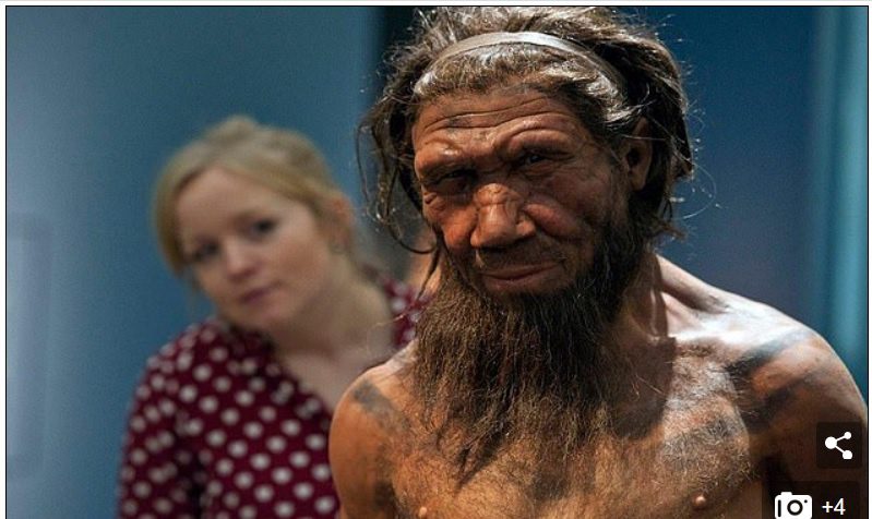Các nhà khoa học biết người Neanderthal và loài người hiện nay đã giao phối với nhau vì có 2% ADN được tìm thấy ở những người châu Âu hiện đại và một số dân tộc châu Á đến từ Neanderthal /// Chụp màn hình Daily Mail