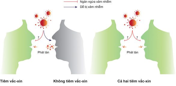 2 yếu tố quyết định khả năng giảm lây truyền virus của vắc xin COVID-19 - Ảnh 1.