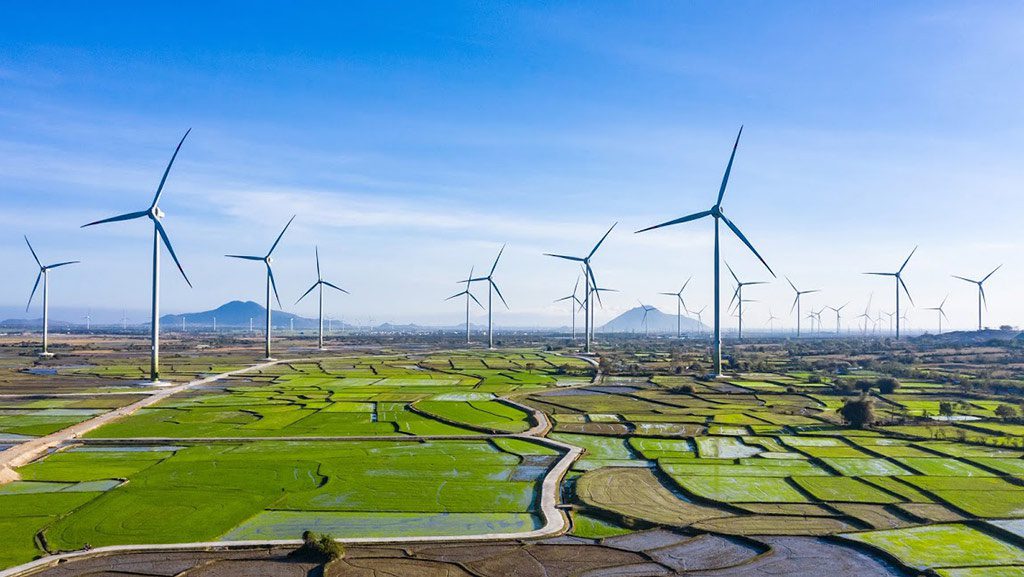 Có 144 dự án điện gió với công suất hơn 8.144 MW đã ký hợp đồng mua bán điện  /// Ảnh Ngọc Thắng