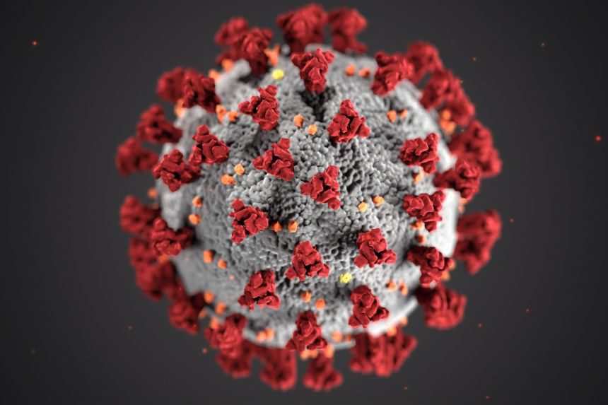Minh họa cấu tạo của virus SARS-CoV-2 /// AFP