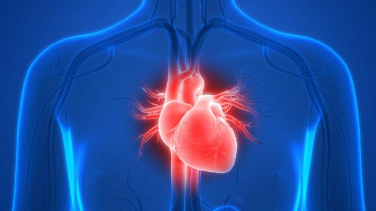 Tại sao F0 khỏi bệnh cần cẩn thận với nguy cơ đau tim và đông máu? - ảnh 1
