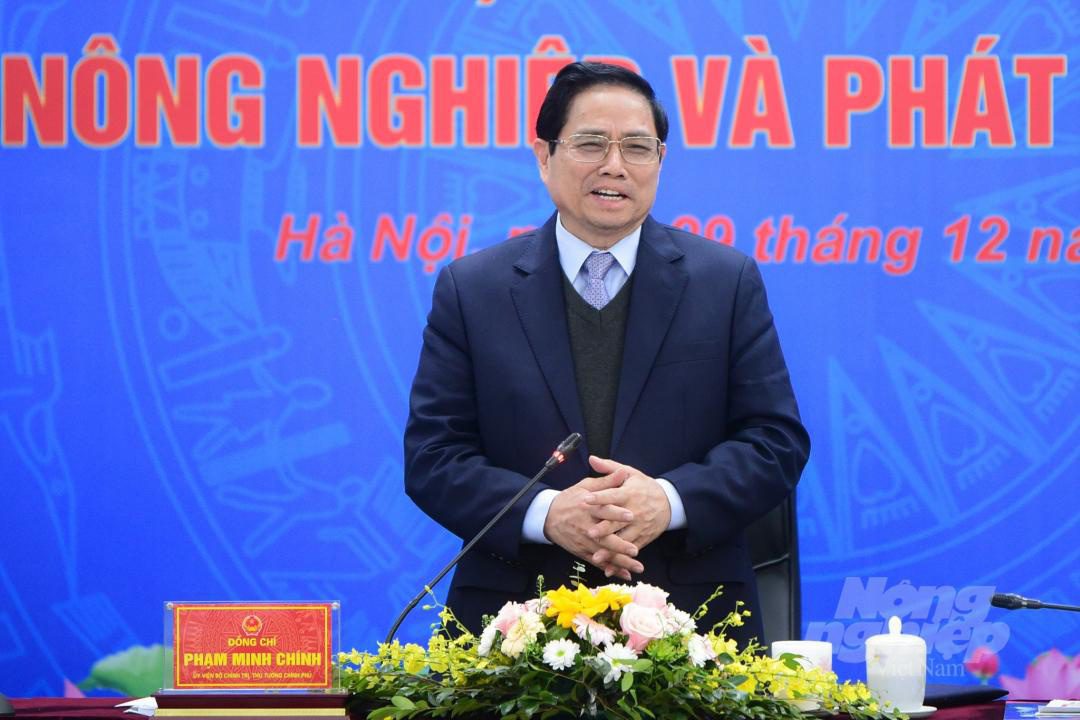 Thúc đẩy xây dựng thương hiệu quốc gia cho nông sản Việt - ảnh 1