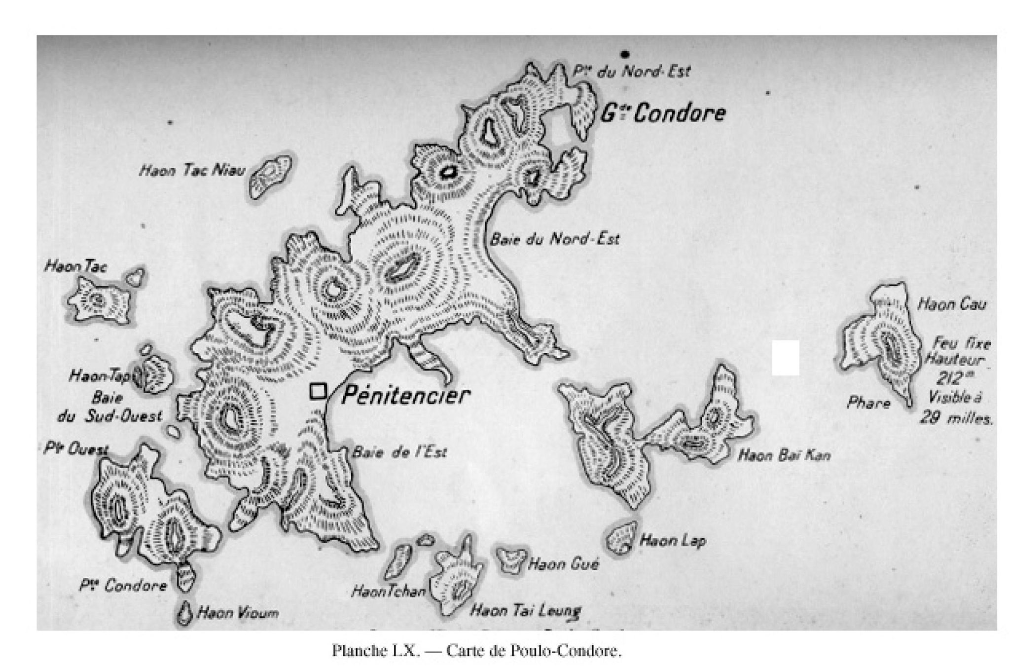 Thằn lằn bay và những tiết lộ 'không thể ngờ' về Côn Đảo cách nay 300 năm - ảnh 1