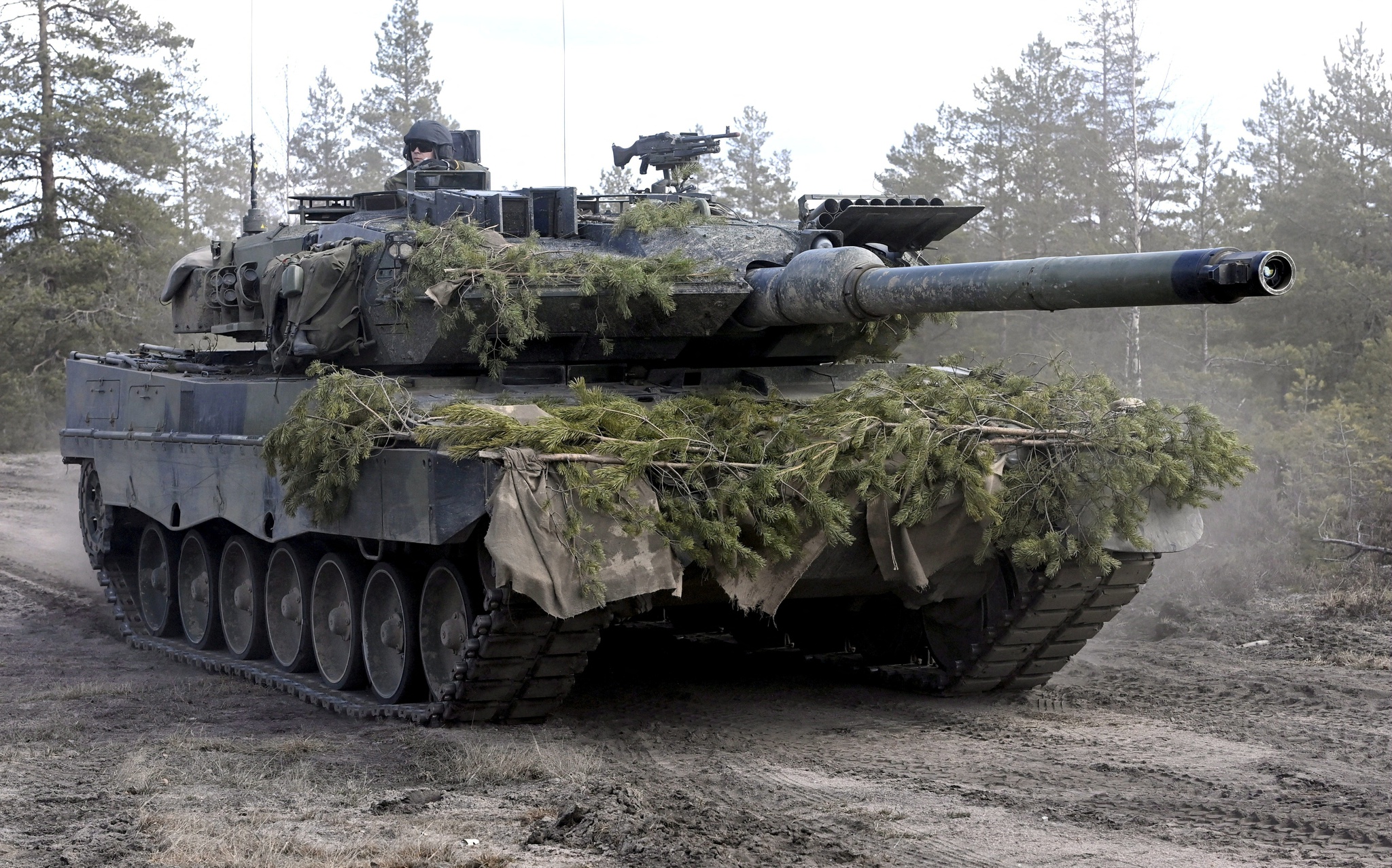 Phần Lan, Thụy Điển quyết tâm gia nhập NATO - ảnh 2
