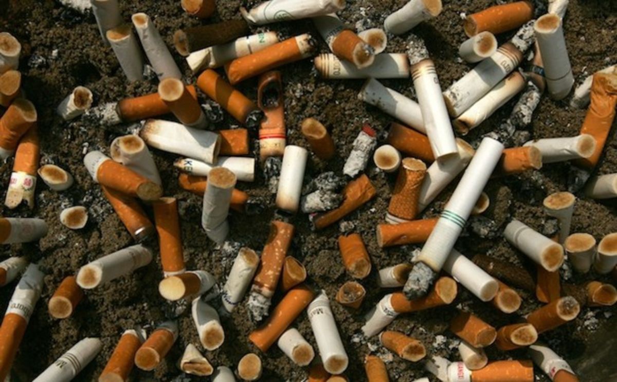 WHO: ném một cán thuốc lá là đưa 7.000 hóa chất độc hại vào môi trường - ảnh 1