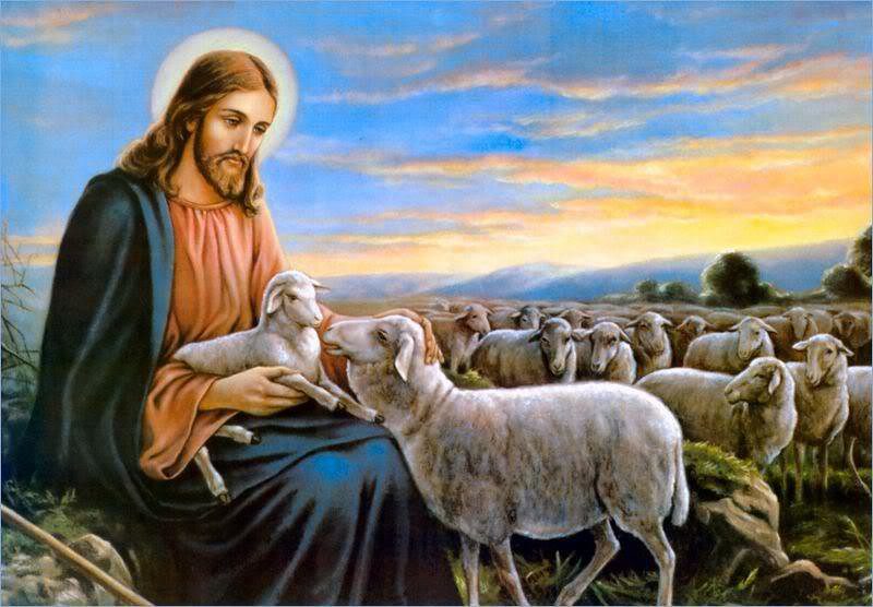 Chúa nhật 4 Phục sinh năm A - Lễ Chúa Chiên Lành (+video)