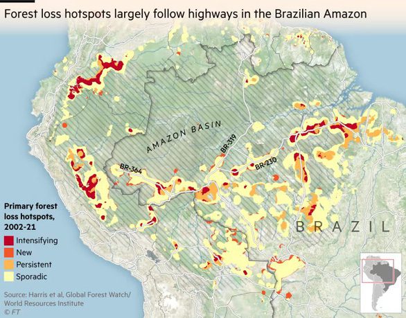 Rừng Amazon bị phá mạnh gần các tuyến đường mới mở - Ảnh 1.