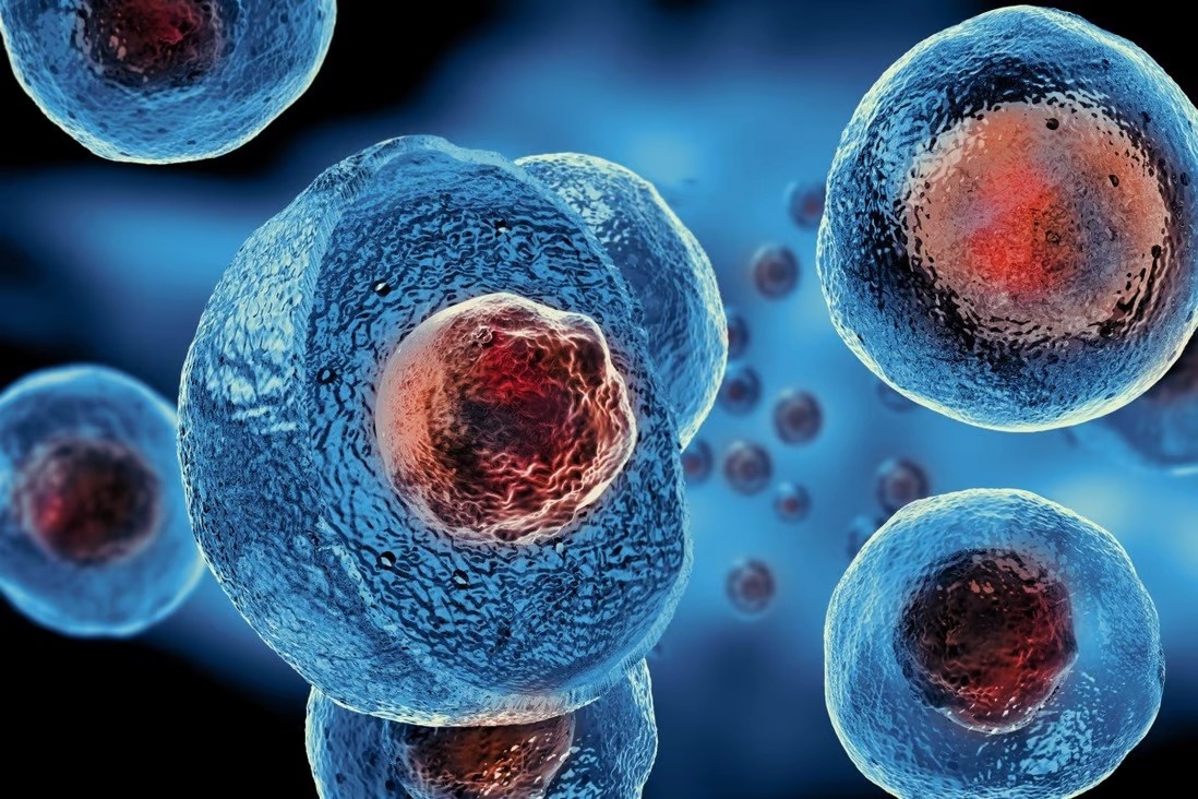 Trung Quốc tìm ra cách lập trình lại tế bào gốc để tạo sự sống - ảnh 1
