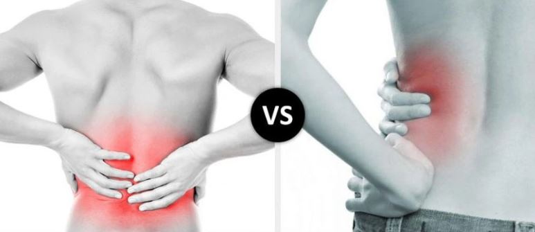Cách nhận biết cơn đau lưng của bạn là bệnh thận - ảnh 2