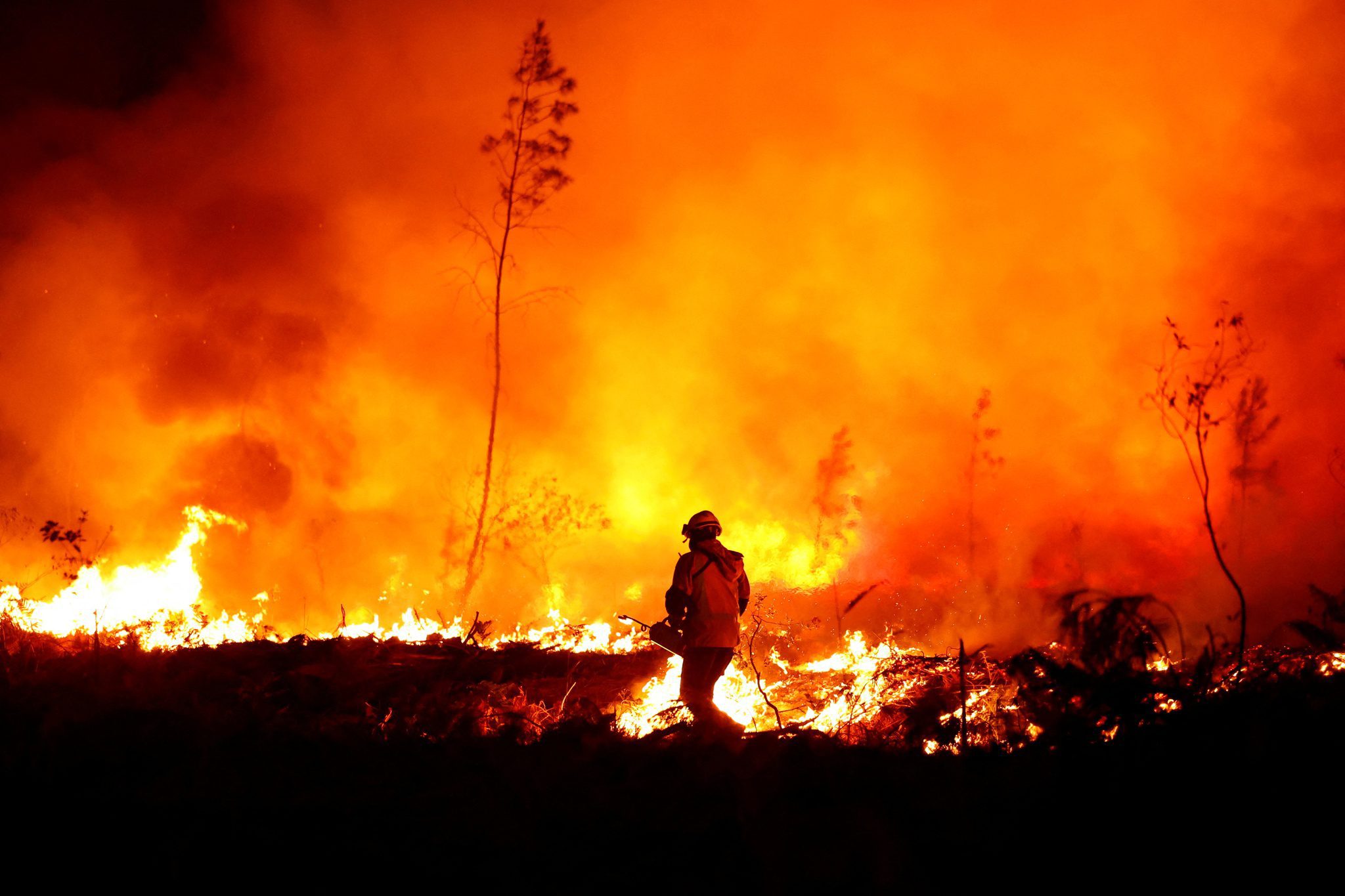 Nắng nóng kỷ lục, cháy rừng dữ dội khắp châu Âu - ảnh 3