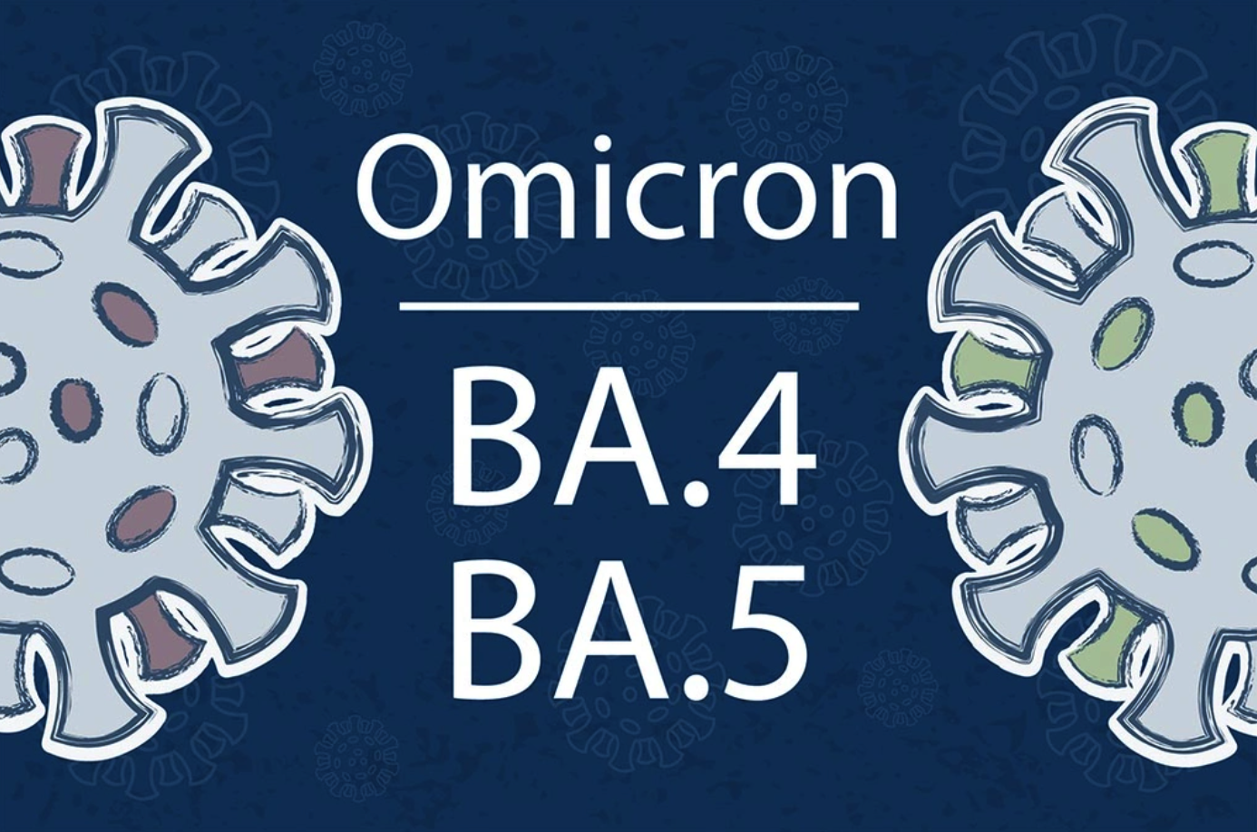 BA.4 và BA.5 lây nhanh hơn 10-13% so với các biển thể Omicron khác - ảnh 1