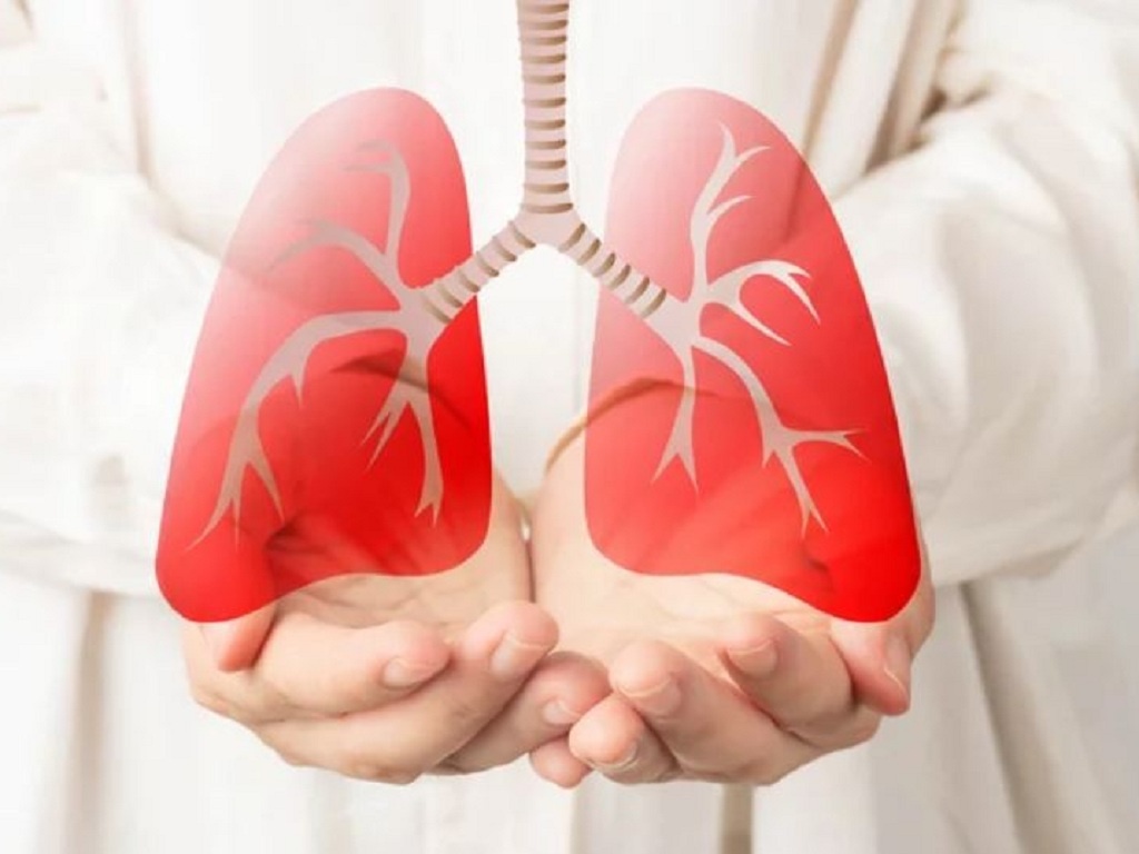 4 thứ trong nhà âm thầm gây hại cho phổi - ảnh 2