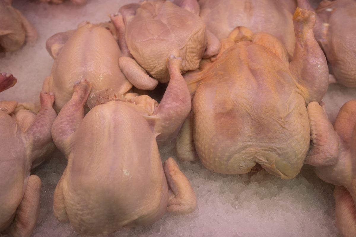 Cảnh báo trào lưu nấu thịt gà với thuốc cảm có thể gây hại phổi - ảnh 1