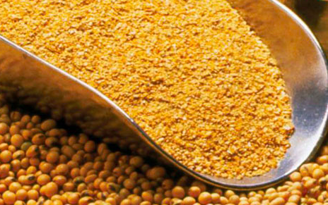 Bộ Nông nghiệp nêu lý do xin giảm thuế nhập khẩu khô đậu tương về 0% - ảnh 1