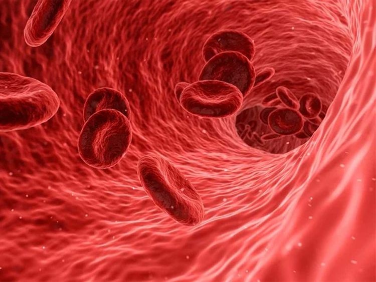 Phát hiện mới: Một yếu tố bất ngờ trong máu gây ra bệnh tiểu đường, ung thư - ảnh 2