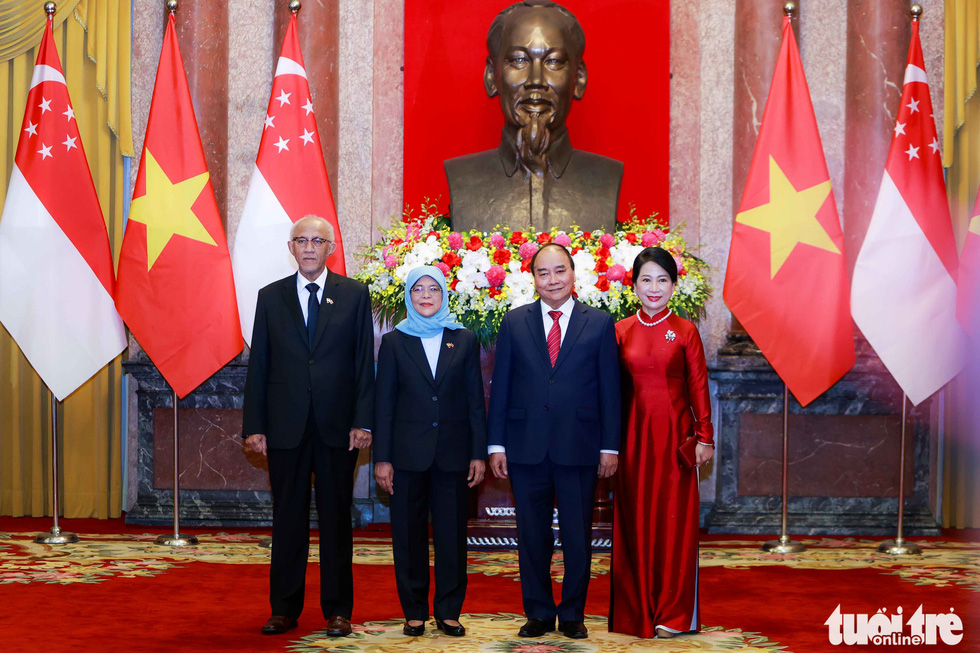 Chủ tịch nước đón và hội đàm Tổng thống Singapore thăm cấp nhà nước Việt Nam - Ảnh 5.