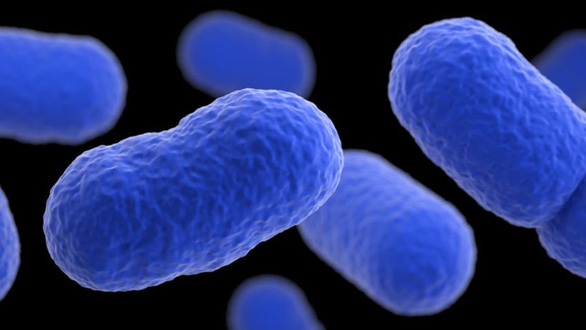 Bùng phát nhiễm khuẩn listeria gây chết người tại Mỹ - Ảnh 1.