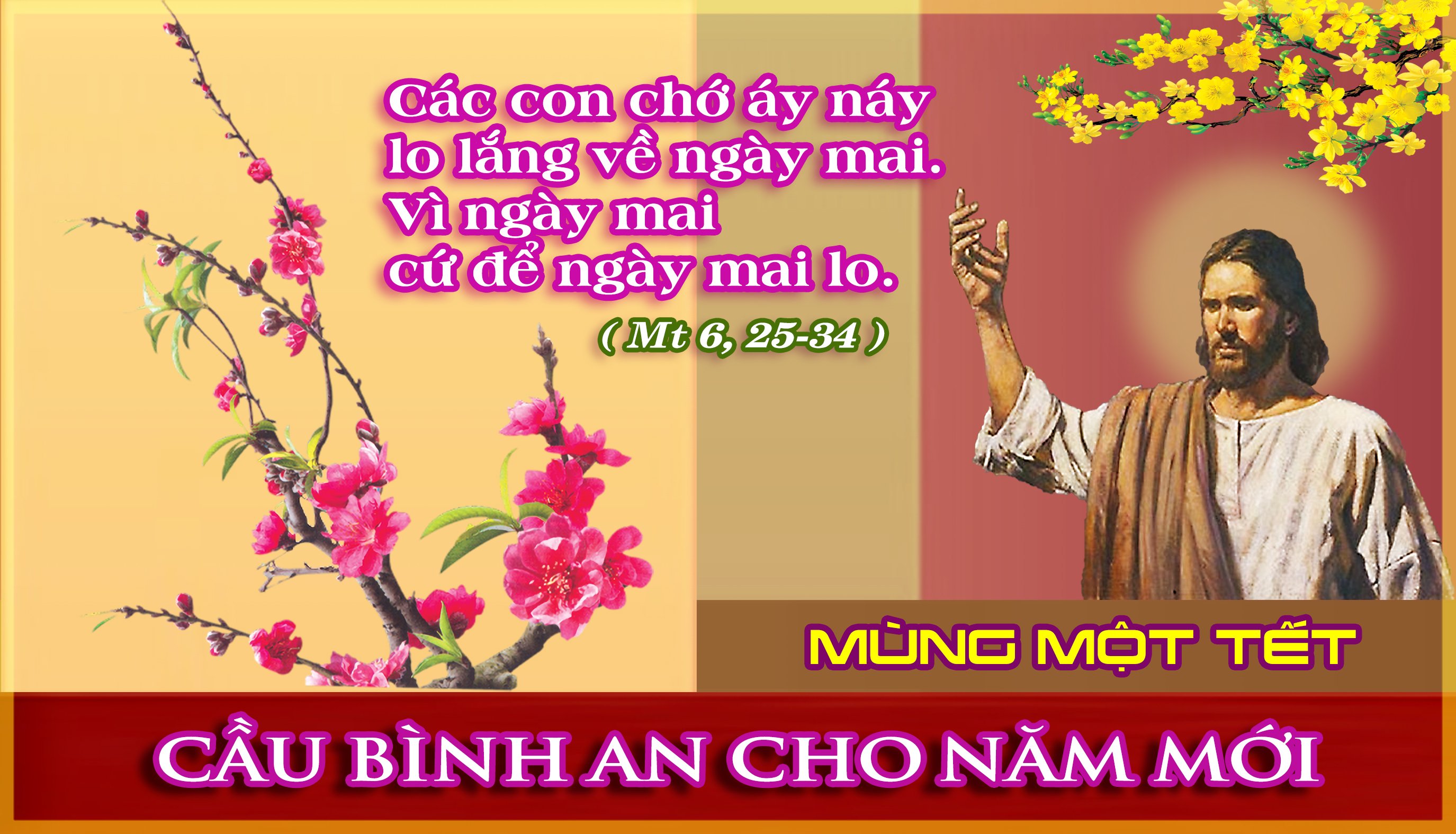 Mồng Một Tết - Suy Niệm Chúa Nhật Tuần III Thường Niên (Mt 6:25-34) - GKGĐ  GP Phú Cường